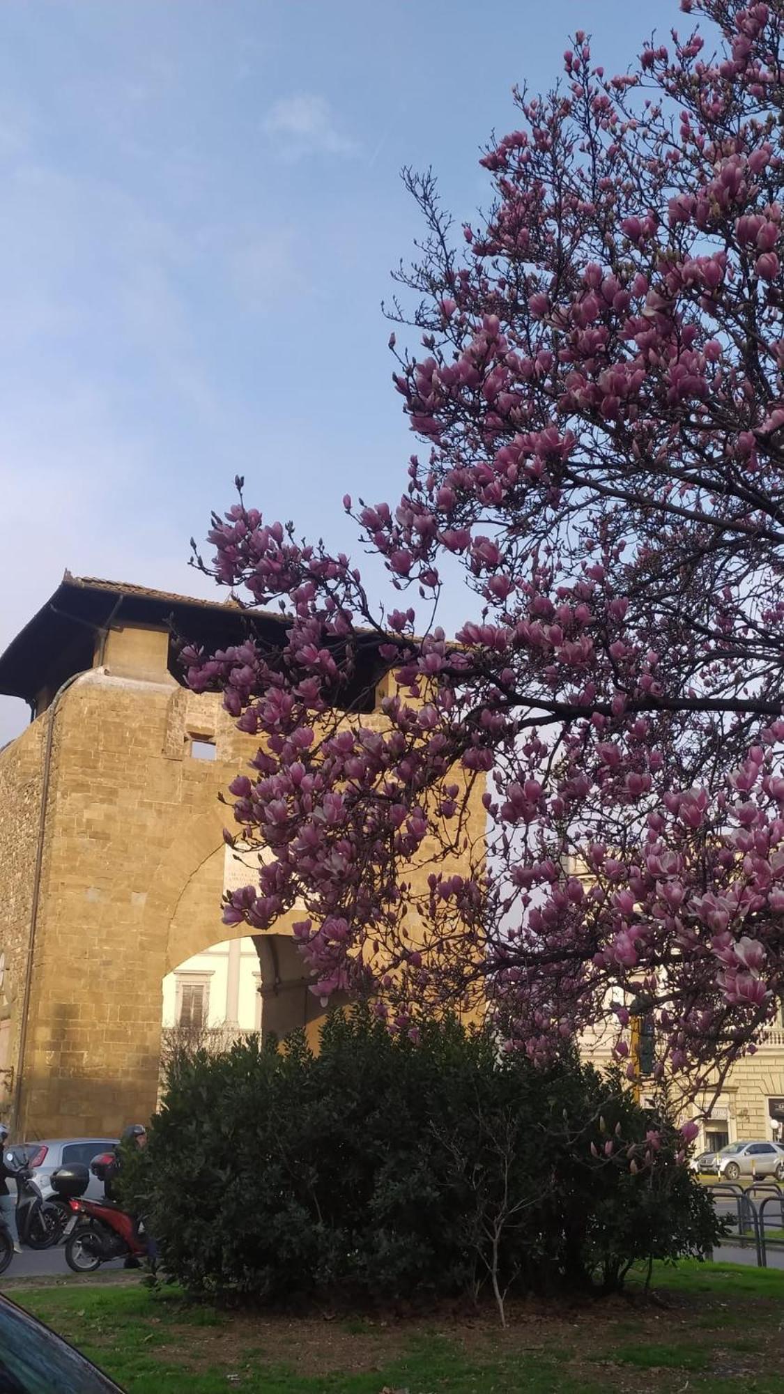 Porta Coi Sassi Appartamento